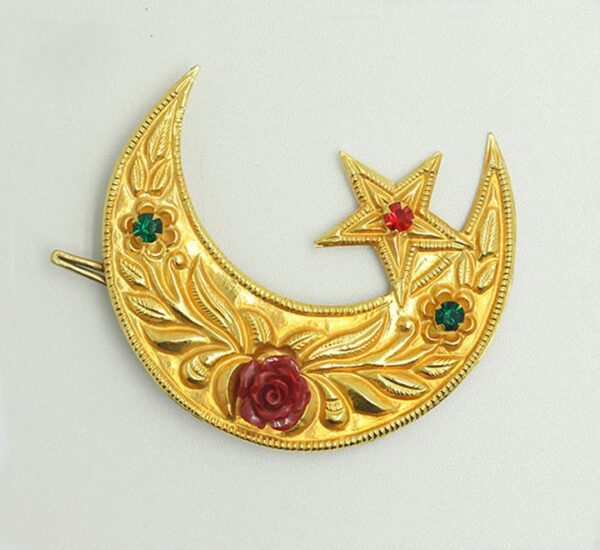 Chandrama with Star clip
